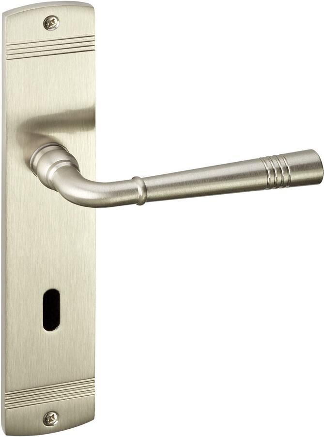 Sotech 1 Set Deurkrukgarnituur FREJA roestvrij staal (BB) Deurbeslag op lange plaat deurkruk vintage met bevestigingsmateriaal van