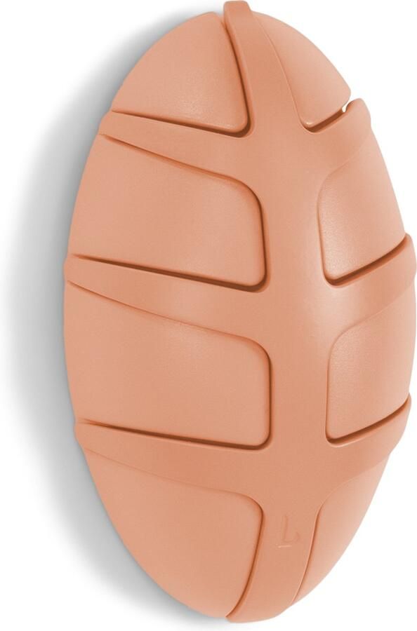 Spinder Design kapstok Bug Clay Terra Clay Terra 7 haken - Foto 2