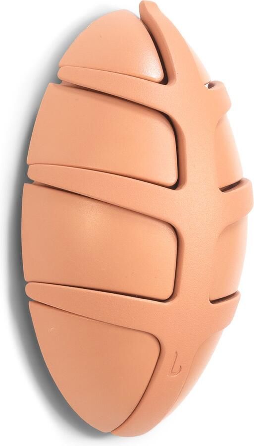 Spinder Design kapstok Bug Clay Terra Clay Terra 7 haken