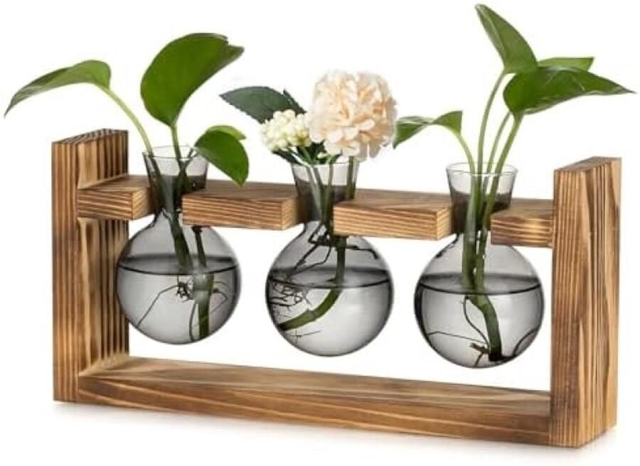 ST TRADING Glas Propagatie Station met Houten Frame Kleine Bol Bloemenvaas voor Binnen Woonkamer Keuken Venster of Bureau Decoratie Grijs Terrarium voor Hydrocultuur en Planten