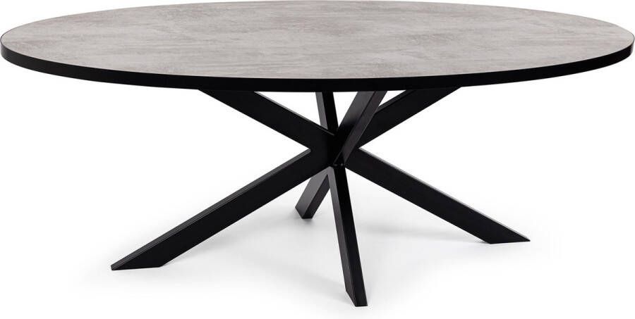 Stalux Ovale eettafel 'Mees' 210 x 100cm kleur zwart beton
