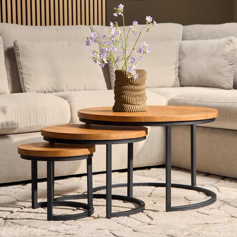 Meubels4nu Ronde Salontafel Set van 3 Mangohout Koffietafel Bijzettafel Voortafel Industrieel Brooklyn Snelle levering