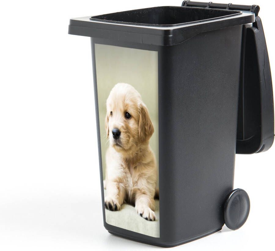 StickerSnake Container sticker Golden Retriever puppy liggend op de bank 38x80 cm Kliko sticker