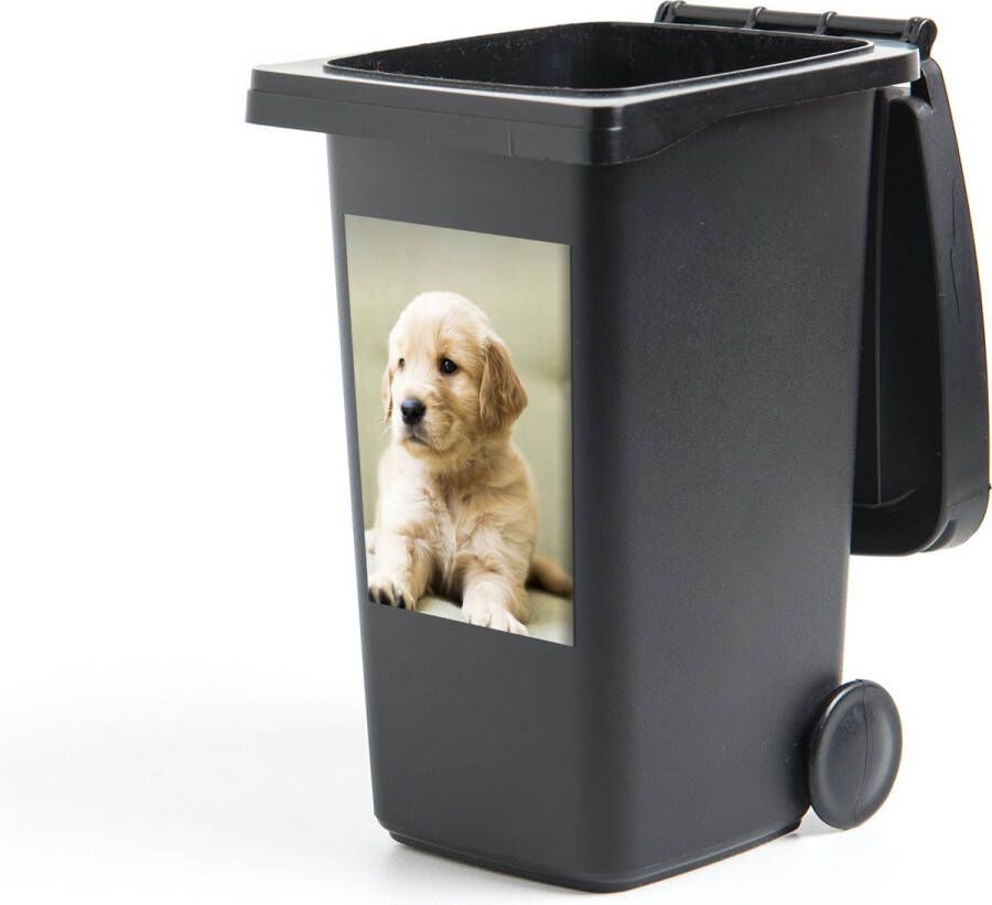StickerSnake Container sticker Golden Retriever puppy liggend op de bank 40x60 cm Kliko sticker