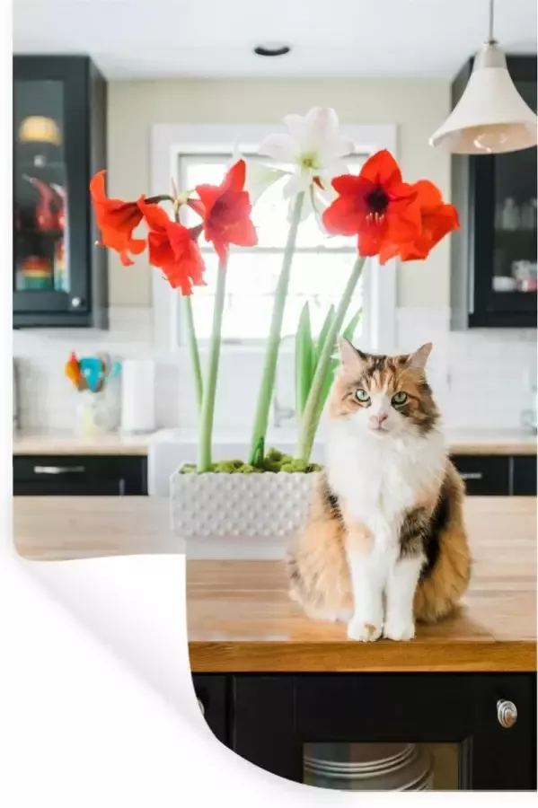 StickerSnake Muurstickers Sticker Folie Kat Bloemen Tafel 60x90 cm Plakfolie Muurstickers Kinderkamer Zelfklevend Behang Zelfklevend behangpapier Stickerfolie