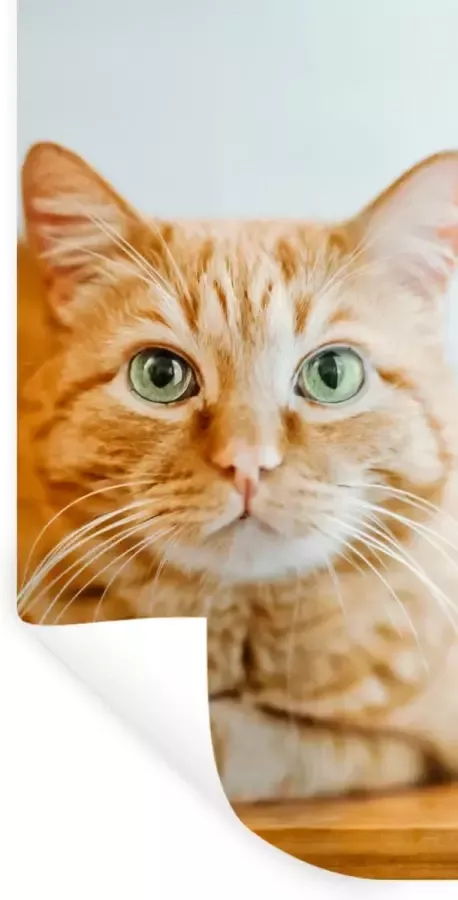 StickerSnake Muurstickers Sticker Folie Kat Hout Kast 60x120 cm Plakfolie Muurstickers Kinderkamer Zelfklevend Behang Zelfklevend behangpapier Stickerfolie