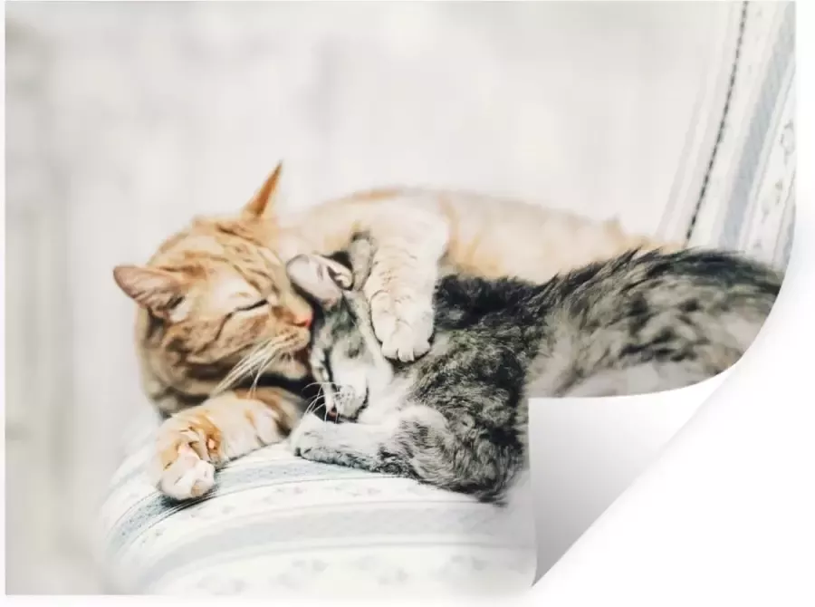 StickerSnake Muurstickers Sticker Folie Katten Bank Woonkamer 160x120 cm Plakfolie Muurstickers Kinderkamer Zelfklevend Behang XXL Zelfklevend behangpapier Stickerfolie