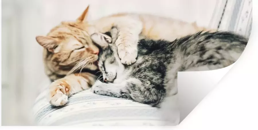 StickerSnake Muurstickers Sticker Folie Katten Bank Woonkamer 160x80 cm Plakfolie Muurstickers Kinderkamer Zelfklevend Behang Zelfklevend behangpapier Stickerfolie