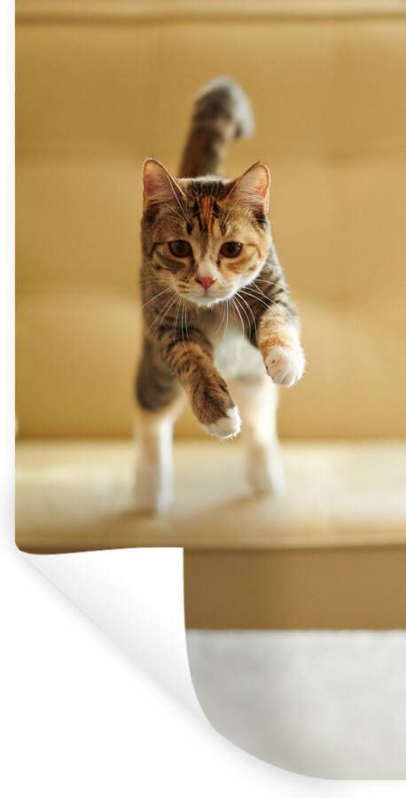 StickerSnake Muurstickers Sticker Folie Kat Spring Stoel 40x80 cm Plakfolie Muurstickers Kinderkamer Zelfklevend Behang Zelfklevend behangpapier Stickerfolie