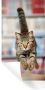 StickerSnake Muurstickers Sticker Folie Kat Spring Stoel 60x120 cm Plakfolie Muurstickers Kinderkamer Zelfklevend Behang Zelfklevend behangpapier Stickerfolie - Thumbnail 1