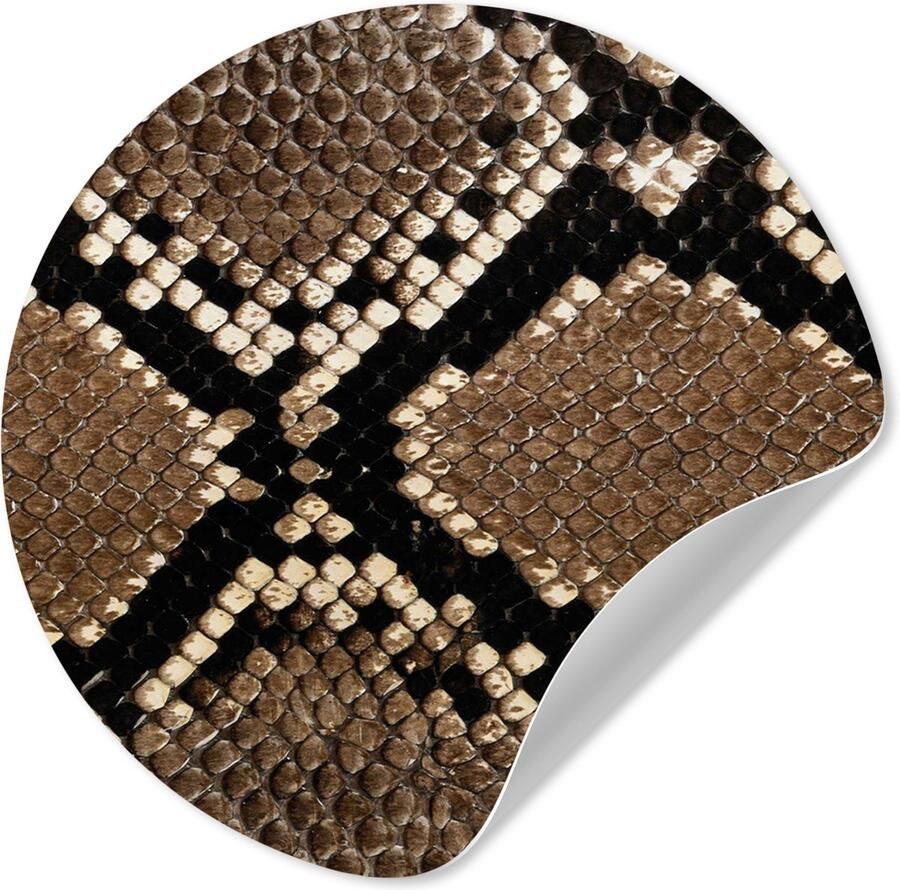 StickerSnake WallCircle Behangcirkel 100x100 cm Muurstickers Dierenhuid Slang Print Muurcirkel woonkamer Wandcirkel slaapkamer Kamer decoratie zelfklevend Muurdecoratie accessoires XXL