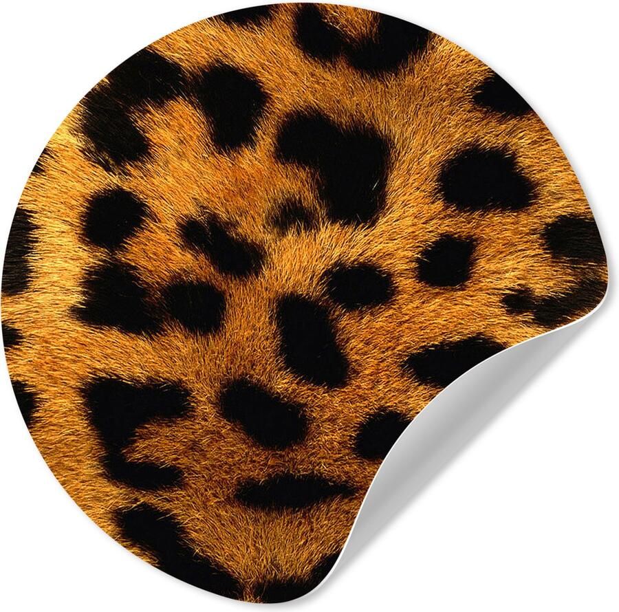 StickerSnake WallCircle Behangcirkel 140x140 cm Muurstickers Dierenhuid Luipaard Wild Muurcirkel woonkamer Wandcirkel slaapkamer Kamer decoratie zelfklevend Muurdecoratie accessoires