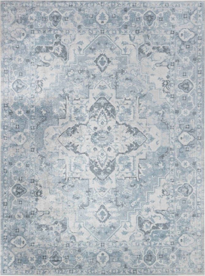 Surya Vloerkleed Woonkamer Slaapkamer Afwasbaar Vintage Tapijt ELSA Grijs Blauw 160x213 cm