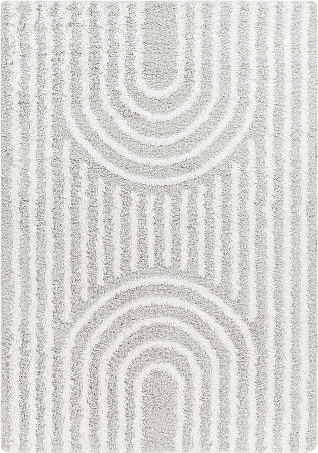 Surya Vloerkleed Woonkamer Slaapkamer Zacht Hoogpolig Shaggy Tapijt CHRISTINA Wit Grijs 160x220 cm