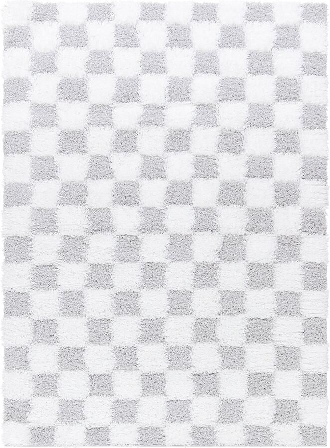 Surya Vloerkleed Woonkamer Slaapkamer Zacht Hoogpolig Shaggy Tapijt met Ruiten WILLA Ivoor LichtGrijs 160x220 cm