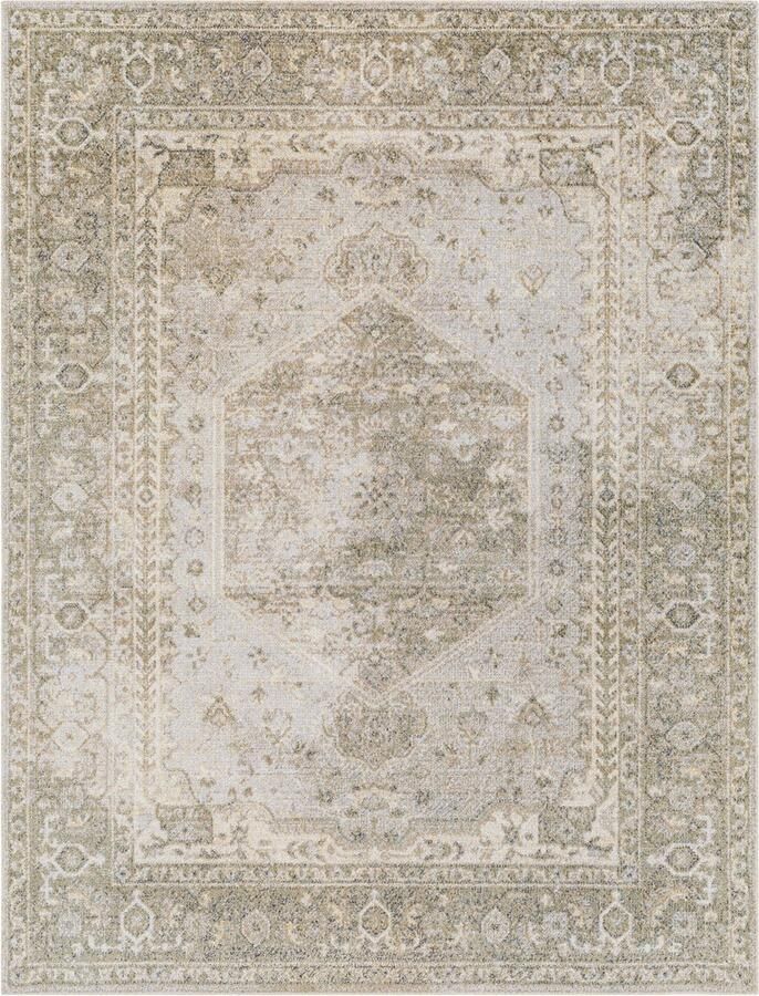 Surya Vloerkleed Woonkamer Slaapkamer Afwasbaar Vintage Tapijt BOKA Groen Bruin 200x275 cm