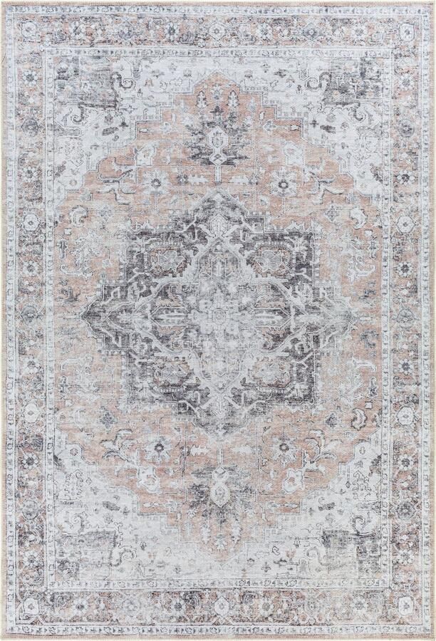 Surya Vloerkleed Woonkamer Slaapkamer Afwasbaar Vintage Tapijt CAPUCINE Beige Grijs 200x275cm