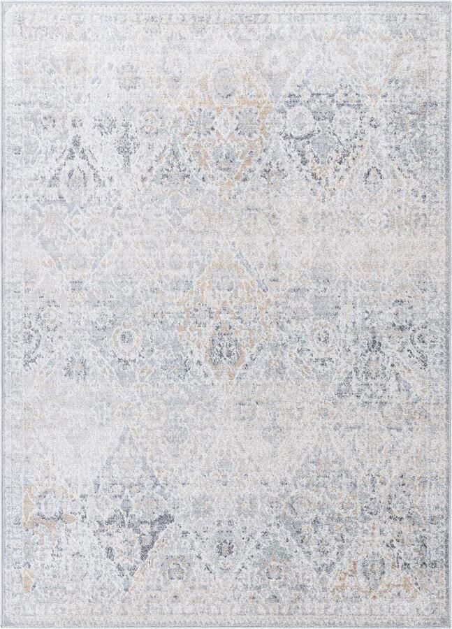 Surya Vloerkleed Woonkamer Slaapkamer Vintage Oosters Tapijt INES Grijs Blauw 200x275 cm