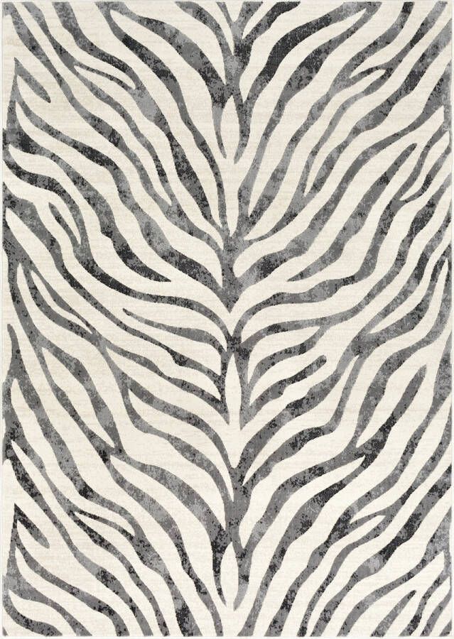 Surya Vloerkleed Woonkamer Slaapkamer Boho Zebra vloerkleed CYBELE Antraciet Beige 120x170 cm - Foto 2