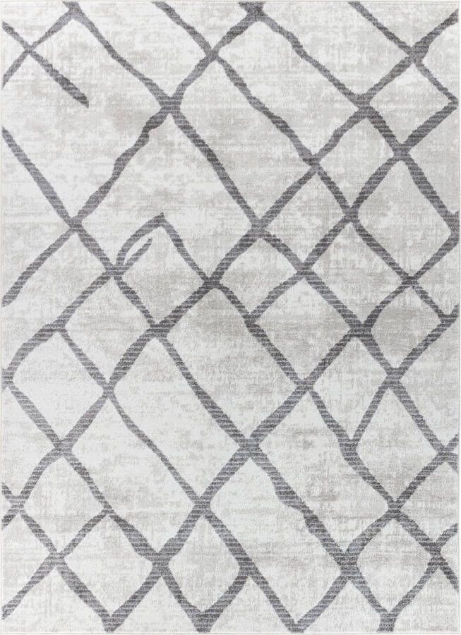 Surya Vloerkleed Woonkamer Slaapkamer Skandi Wabi Sabi Loper Gang GLORIA Grijs 80x150 cm