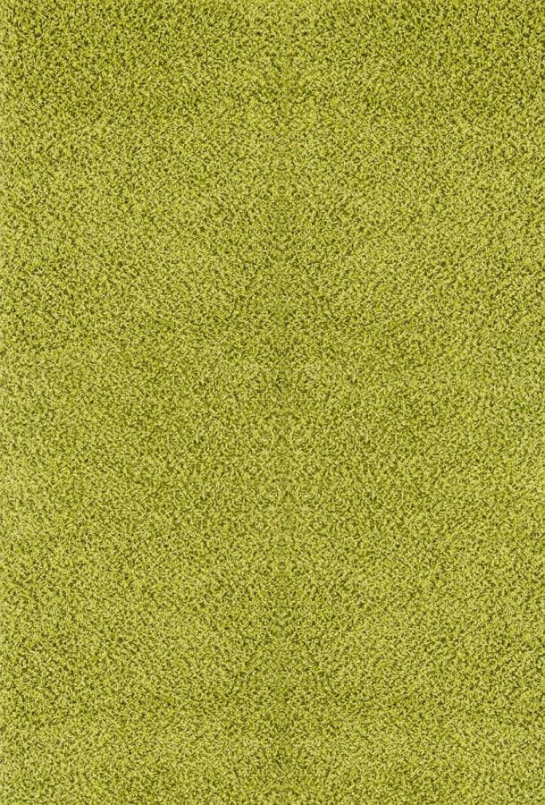 Surya Vloerkleed Woonkamer Slaapkamer Zacht Hoogpolig Shaggy Tapijt LILLY Effen Groen 160x220 cm