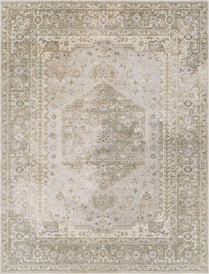 Surya Vloerkleed Woonkamer Slaapkamer Afwasbaar Vintage Tapijt BOKA Beige Grijs 160x213 cm