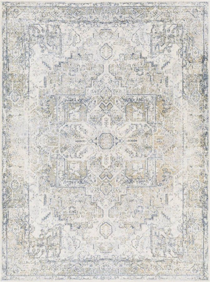 Surya Vloerkleed Woonkamer Slaapkamer Afwasbaar Vintage Tapijt WAFA Grijs Blauw 160x213 cm