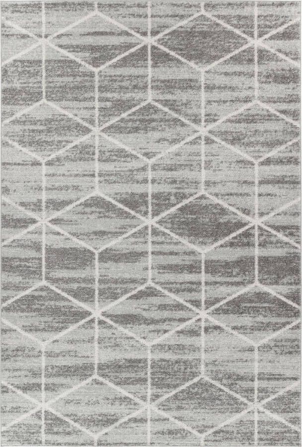 Surya Vloerkleed Woonkamer Slaapkamer Skandi Industrieel vloerkleed XION Grijs 120x170 cm