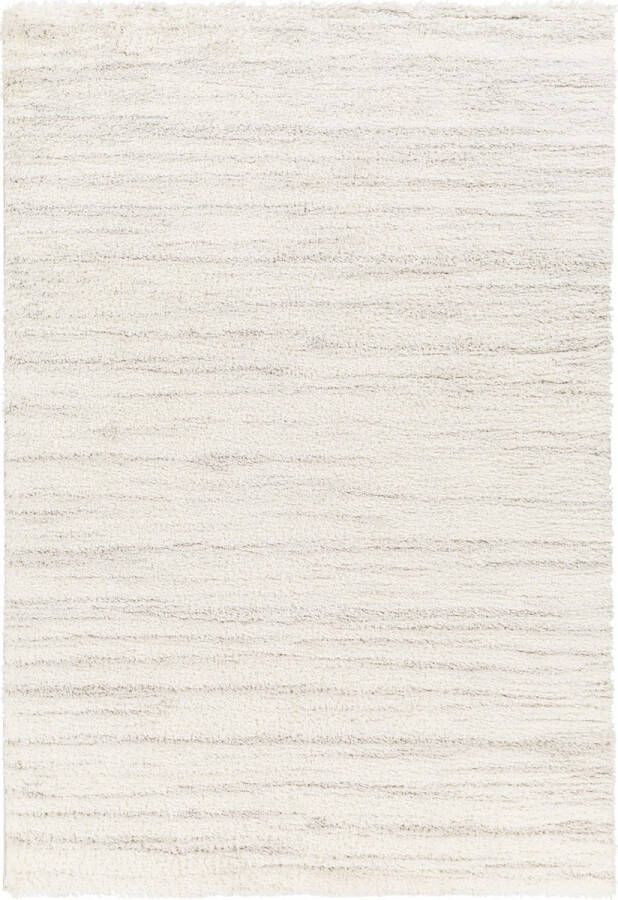 Surya Vloerkleed Woonkamer Slaapkamer Zacht Hoogpolig Shaggy Tapijt ADLEY Gebroken Wit Grijs 200x275 cm