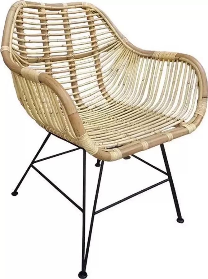 Van der Leeden Sweet Living Rotan Kuipstoel Naturel 69x67xH79 cm