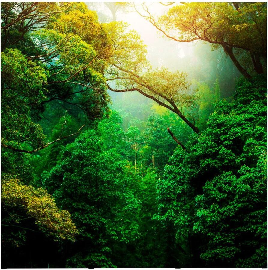 Syna Pop-Up Magnetic Straight 3 X 3 met Soft Trolley PUM33S-ST Horeca & Professioneel