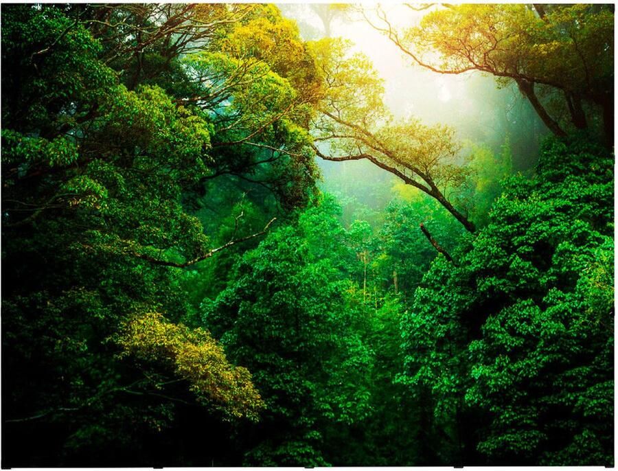 Syna Pop-Up Magnetic Straight 4 X 3 met Soft Trolley PUM43S-ST Horeca & Professioneel