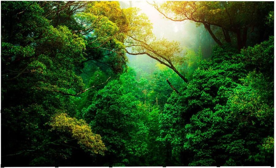 Syna Pop-Up Magnetic Straight 5 X 3 met Soft Trolley PUM53S-ST Horeca & Professioneel