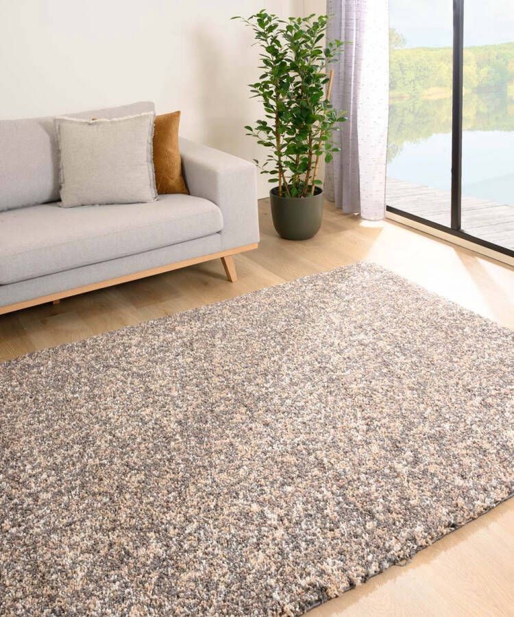 Tapeso Hoogpolig vloerkleed gememêleerd Blend beige grijs 60x110 cm
