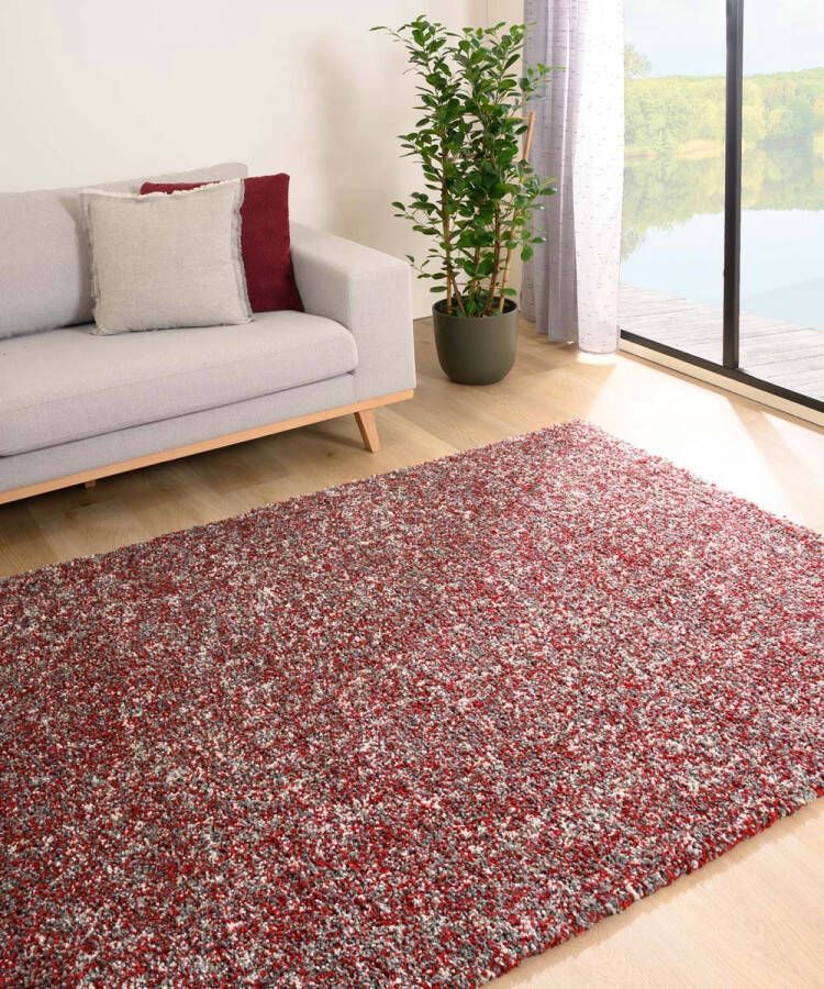 Tapeso Hoogpolig vloerkleed gemêleerd Blend rood grijs 60x100 cm