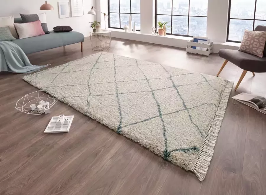 Freundin Home Collection Hoogpolig vloerkleed Primrose Bijzonder zachte pool Scandi look met franje robuust gemakkelijk in onderhoud - Foto 2