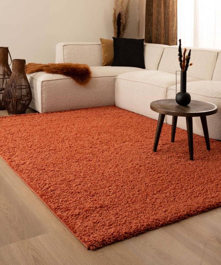 Tapeso Vierkant hoogpolig vloerkleed shaggy Trend effen terracotta 100x100 cm