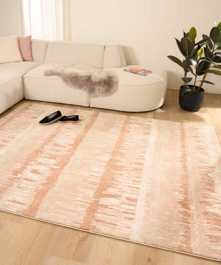 Tapeso Modern vloerkleed Fancy Radiance roze 120x170 cm