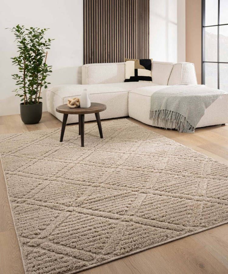 Tapeso Scandinavisch vloerkleed Arc Gem beige 240x340 cm