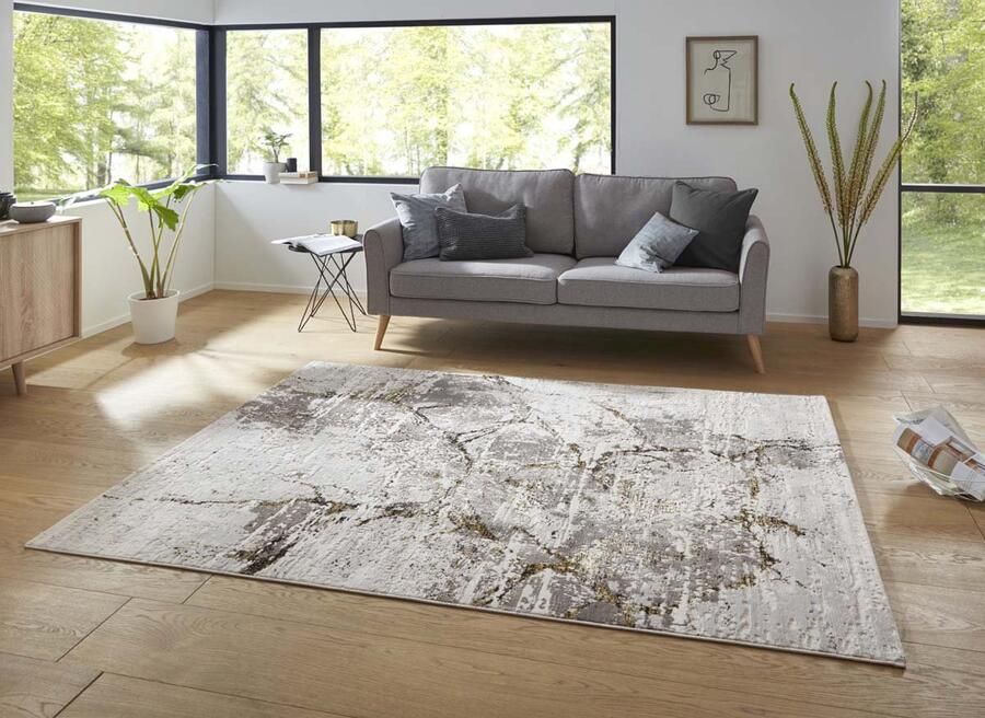 Tapeso Short Pile Tapijt Dayron ZilverGrijs Goud