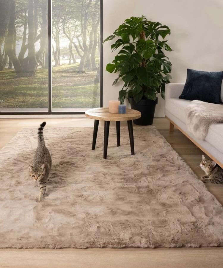 Tapeso Vloerkleed Super Zacht Luxe hoogpolig vloerkleed Comfy Creme Wit 160x230 cm - Foto 3
