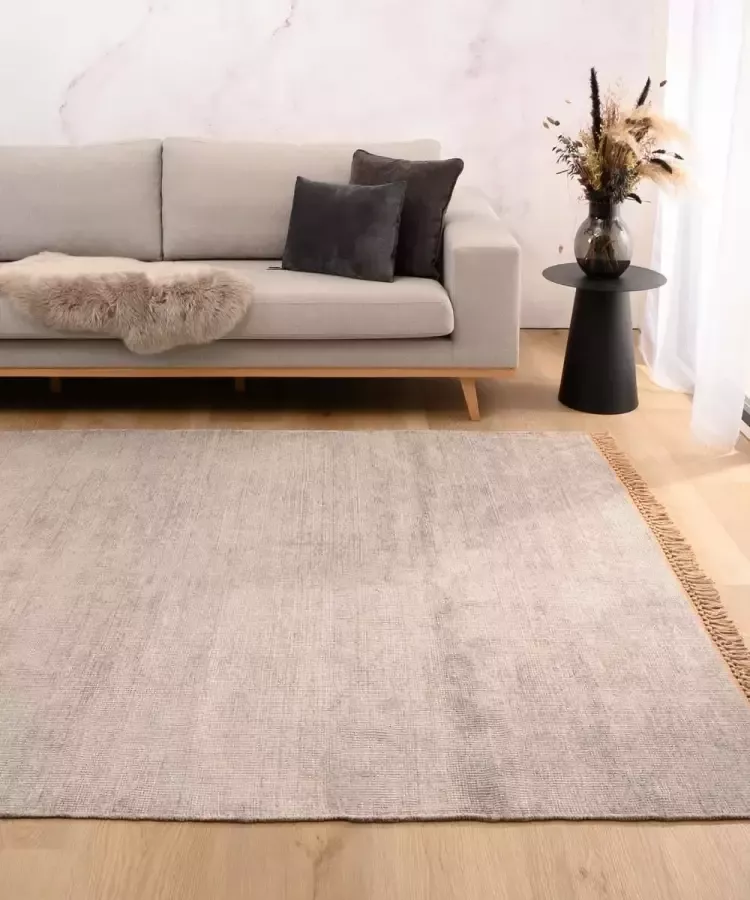 Tapeso Viscose vloerkleed Gem grijs 300x400 cm