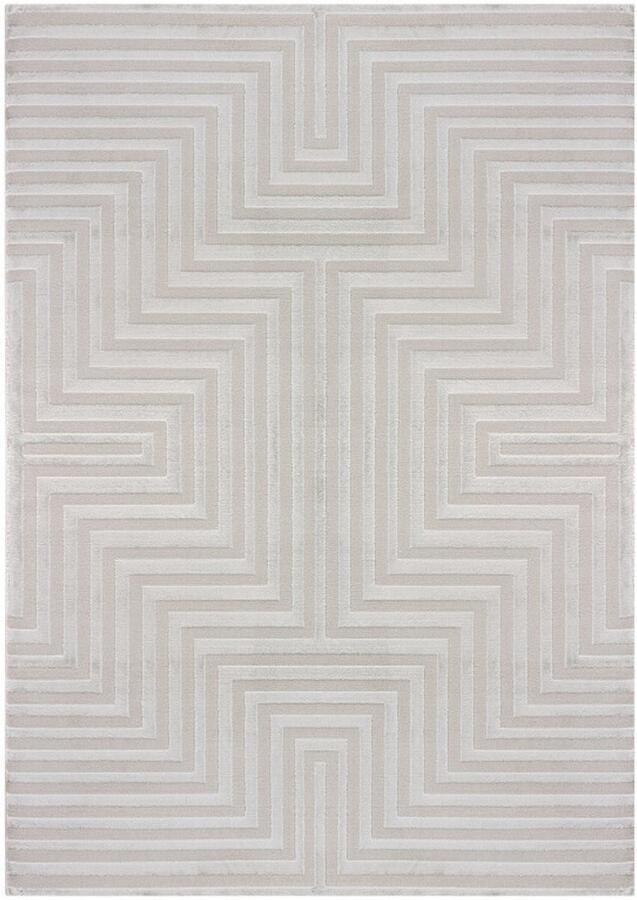 Tapijtenmagazijn Sahara Vloerkleed – Zilver – Minimalistisch Rasterpatroon – Tijdloos Design – 160x230 cm - Foto 3