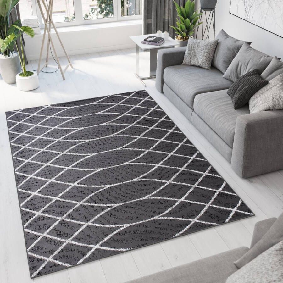Tapiso Bali PP Vloerkleed Grijs Tapijt Modern Laagpolig Maat- 200x300