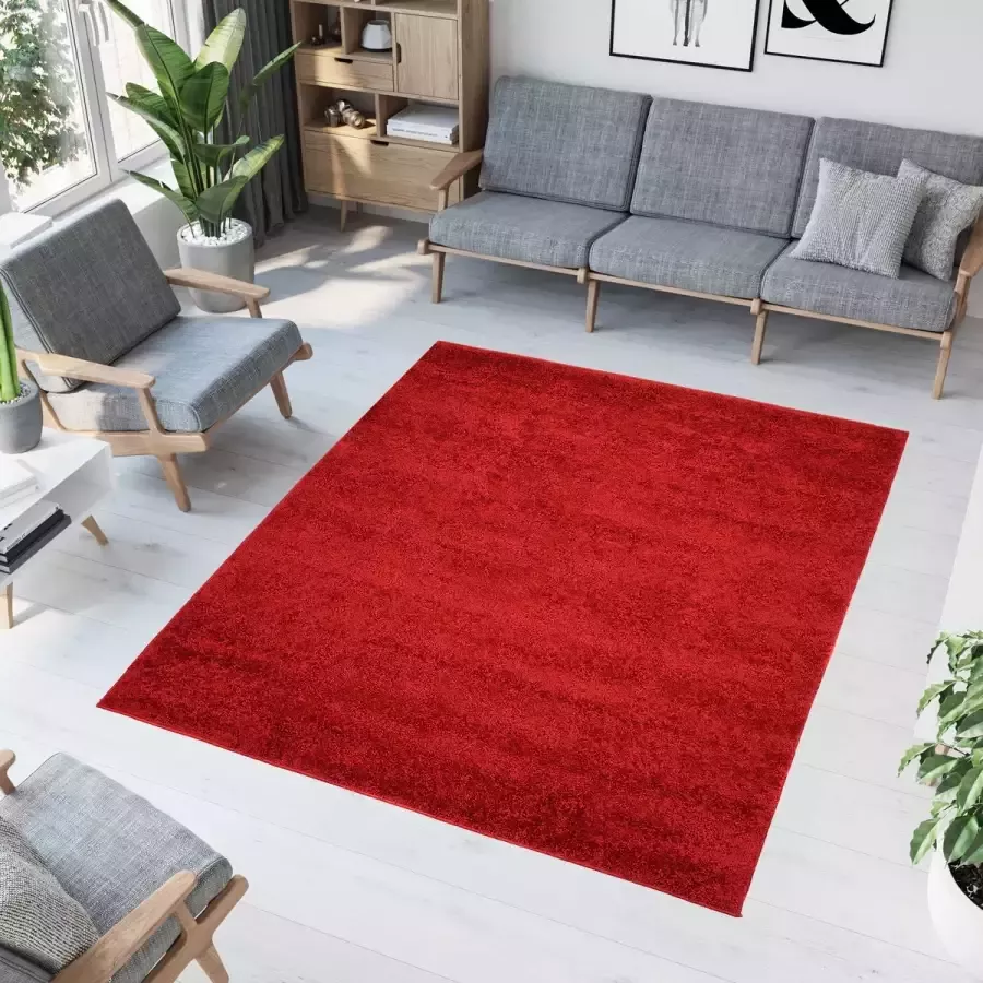 Tapiso Delhi Vloerkleed Vierkant Hoogpolig Shaggy Rood Tapijt Maat- 120x120