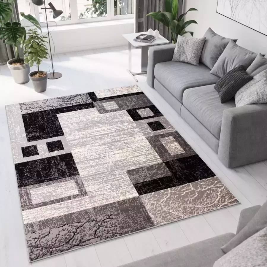 Tapiso Dream Vloerkleed Grijs Woonkamer Modern Laagpolig Tapijt Maat- 300x400