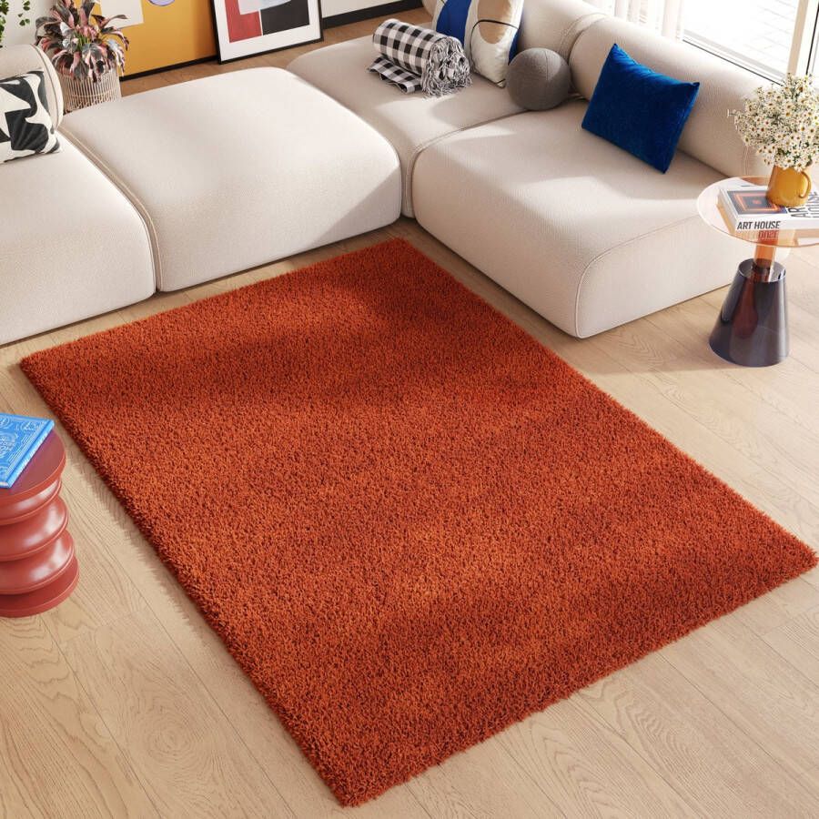 Tapiso Essence Vloerkleed Rood Bruin Hoogpolig Shaggy Tapijt Maat- 120x170