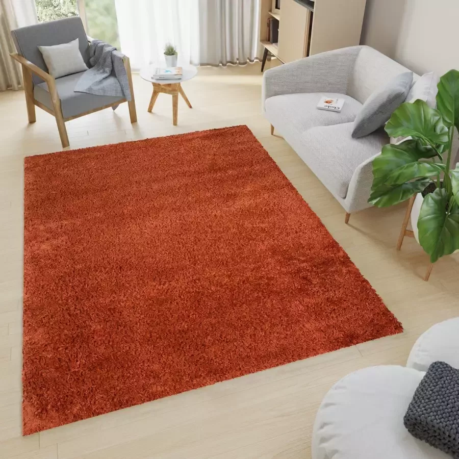 Tapiso Essence Vloerkleed Rood Bruin Hoogpolig Shaggy Tapijt Maat- 120x170 - Foto 2