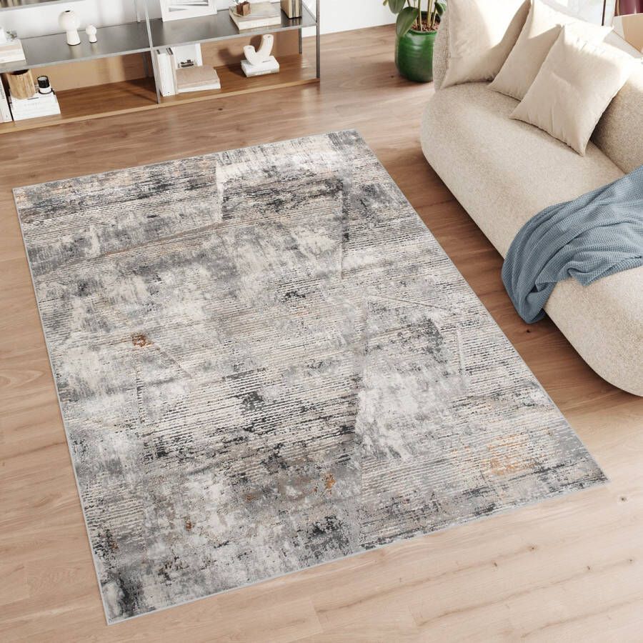 Tapiso Feyruz Vloerkleed Grijs Beige Modern Woonkamer Slaapkamer Tapijt Maat- 120x170