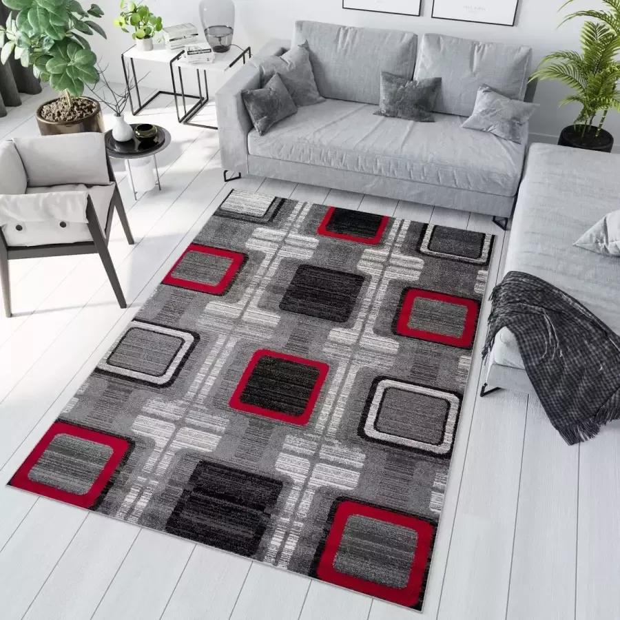 Tapiso Jawa Vloerkleed Grijs Rood Modern Laagpolig Tapijten Maat- 240x330